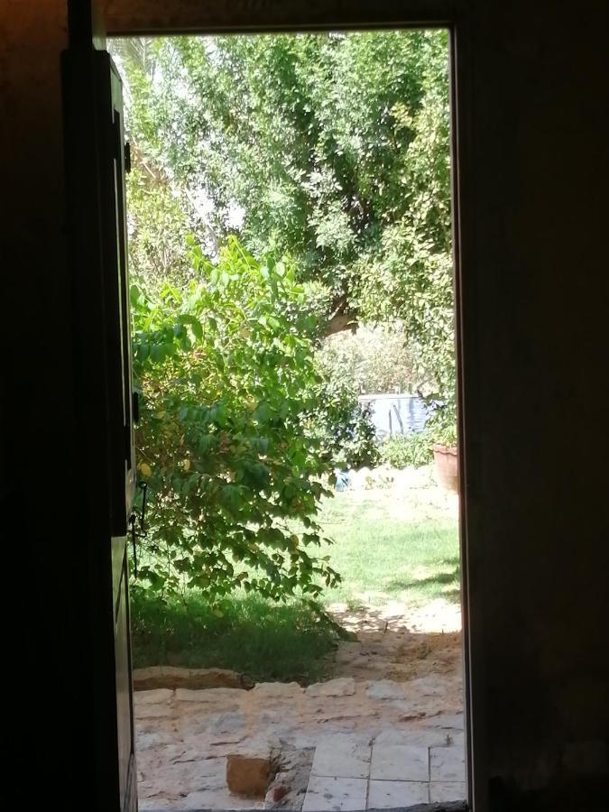 Studio In Byoum By Qaroun Lake In Fayoum Qaryat at Ta'mir as Siyahiyah Exteriér fotografie
